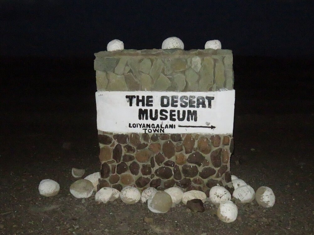 Desert Museum景点图片