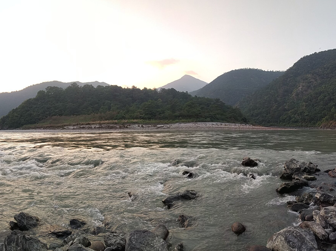 Banyan by the Ganges主图