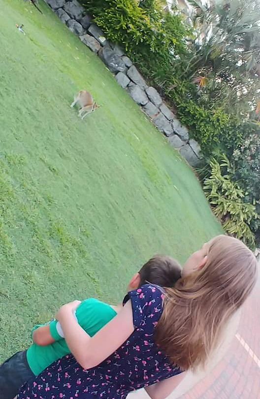 汉密尔顿岛酒店住宿-圣灵礼拜天假日公寓