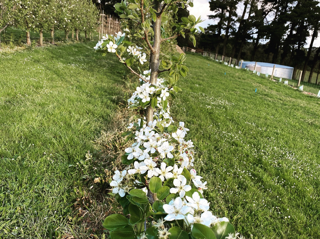 Hart's Farm景点图片