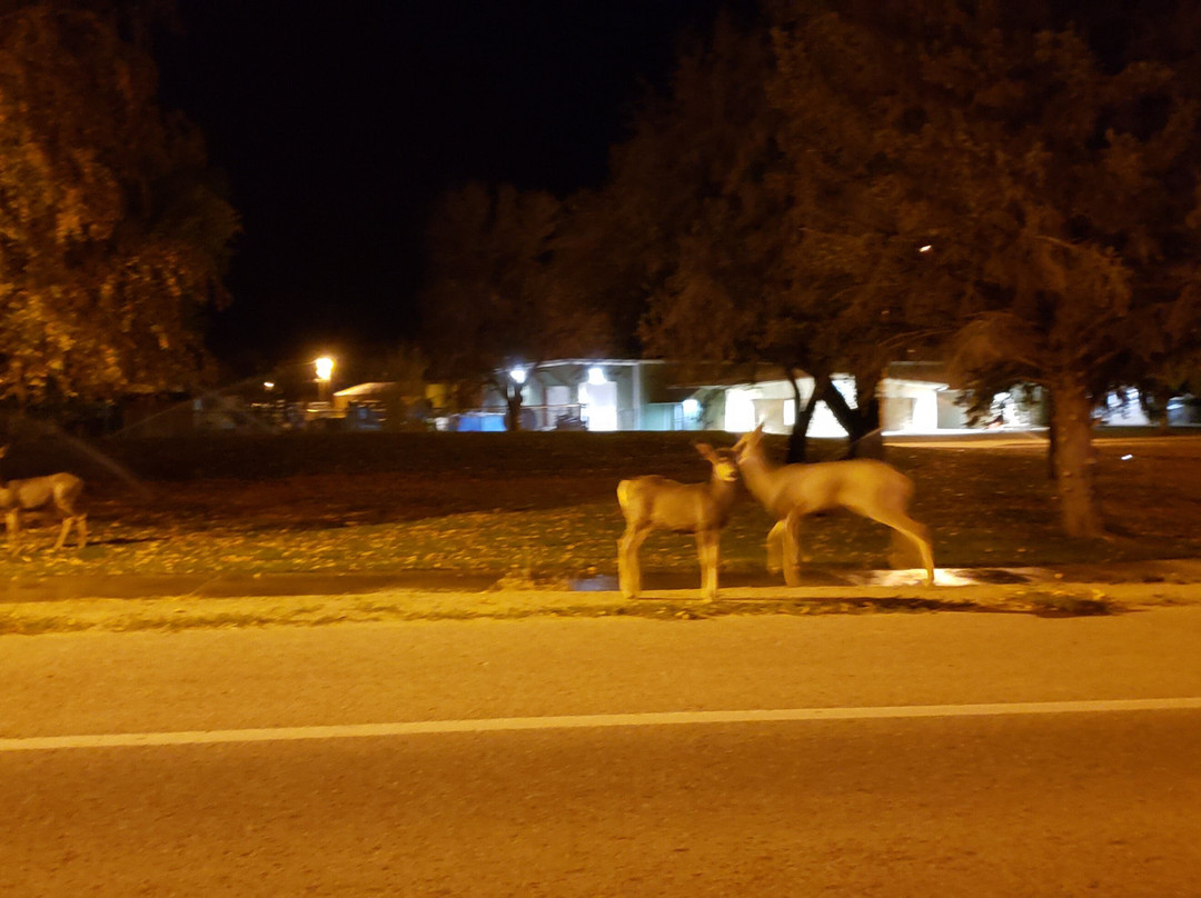 Blue Mountain Inn & Suites主图