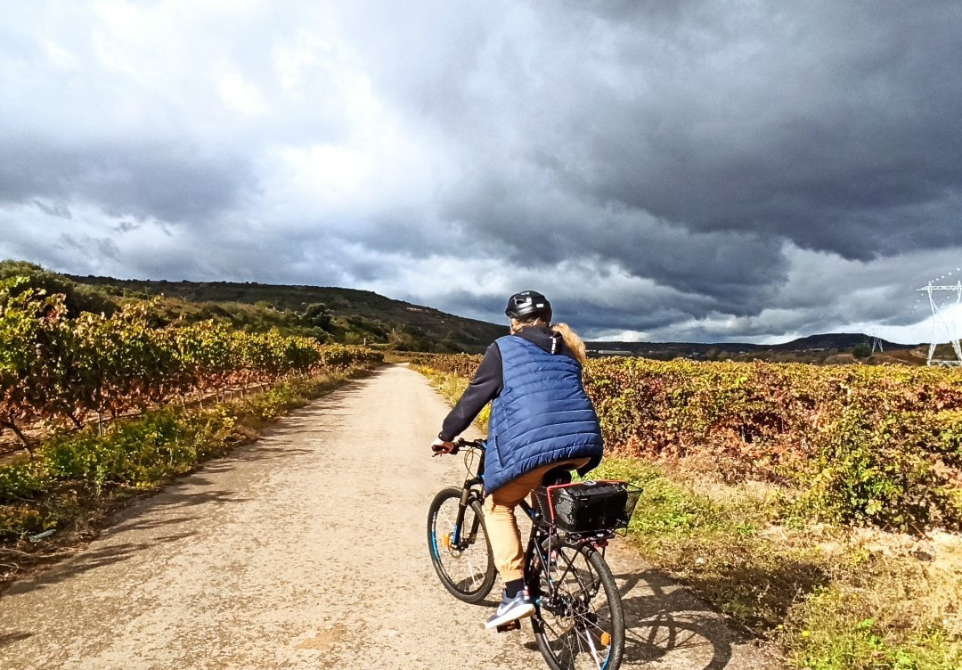 Rioja Rentabike-Fuenmayor必去景点