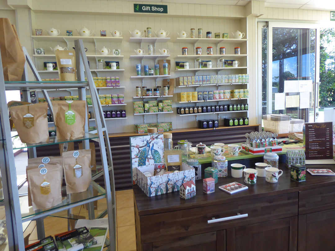 Nerada Tea Plantation-马兰达必去景点