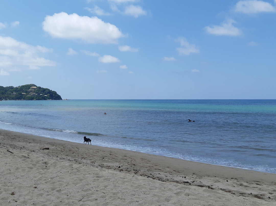 利他酒店住宿-Hotel Villas Sayulita