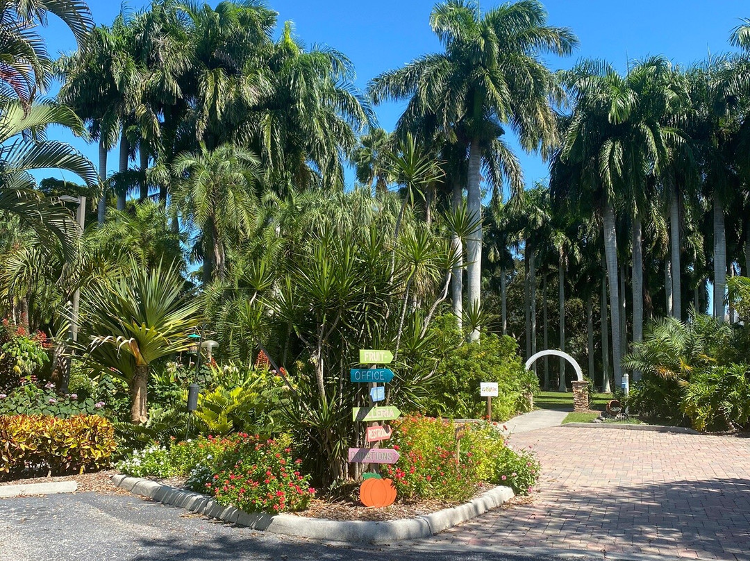 Palma Sola Botanical Park景点图片