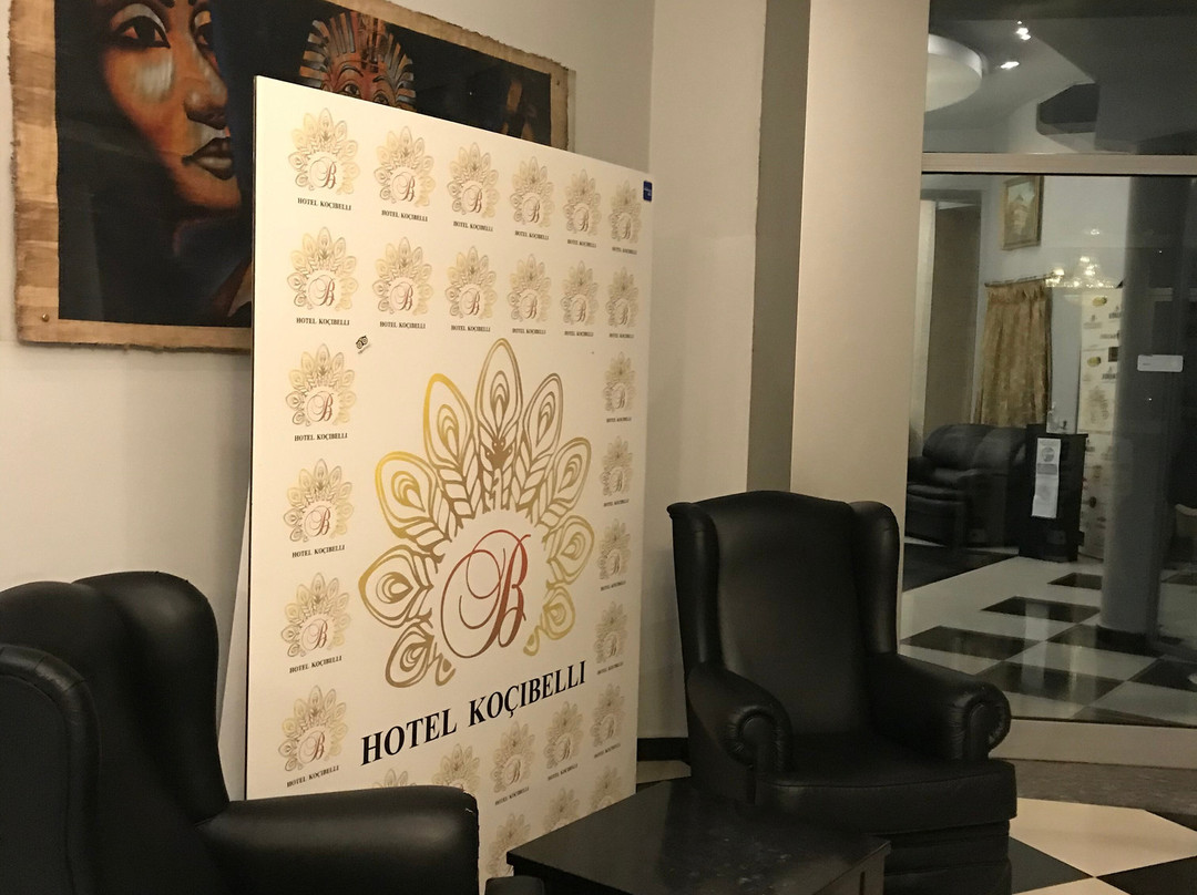 Hotel Kocibelli Pool & SPA主图