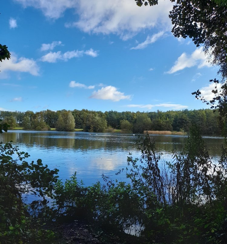 Wykeham Lakes Fishery景点图片