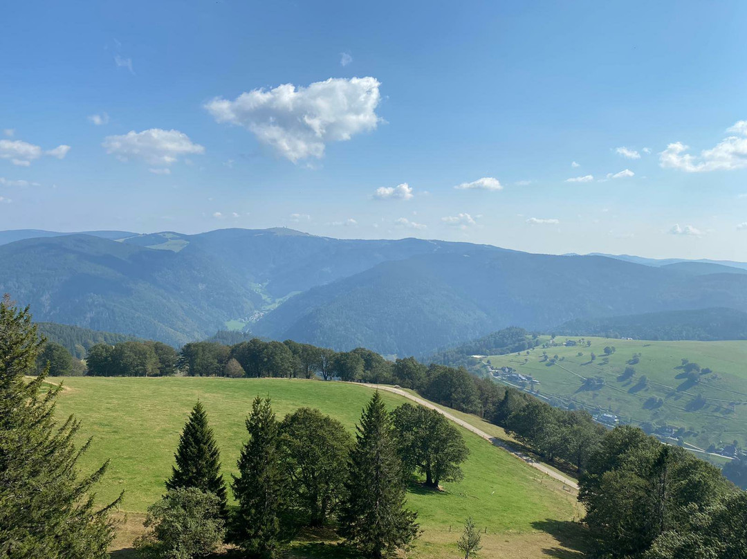 Schauinslandbahn-Horben必去景点