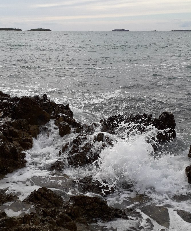 Škaraba Beach-罗维尼必去景点