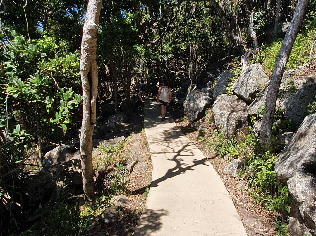 Burleigh Headland Ocean View Track-伯利角必去景点