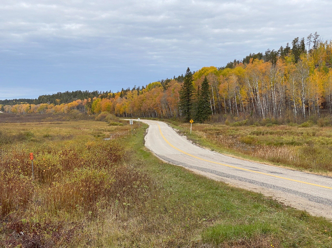 McGillivray Falls Self-guiding Trail-Falcon Lake必去景点