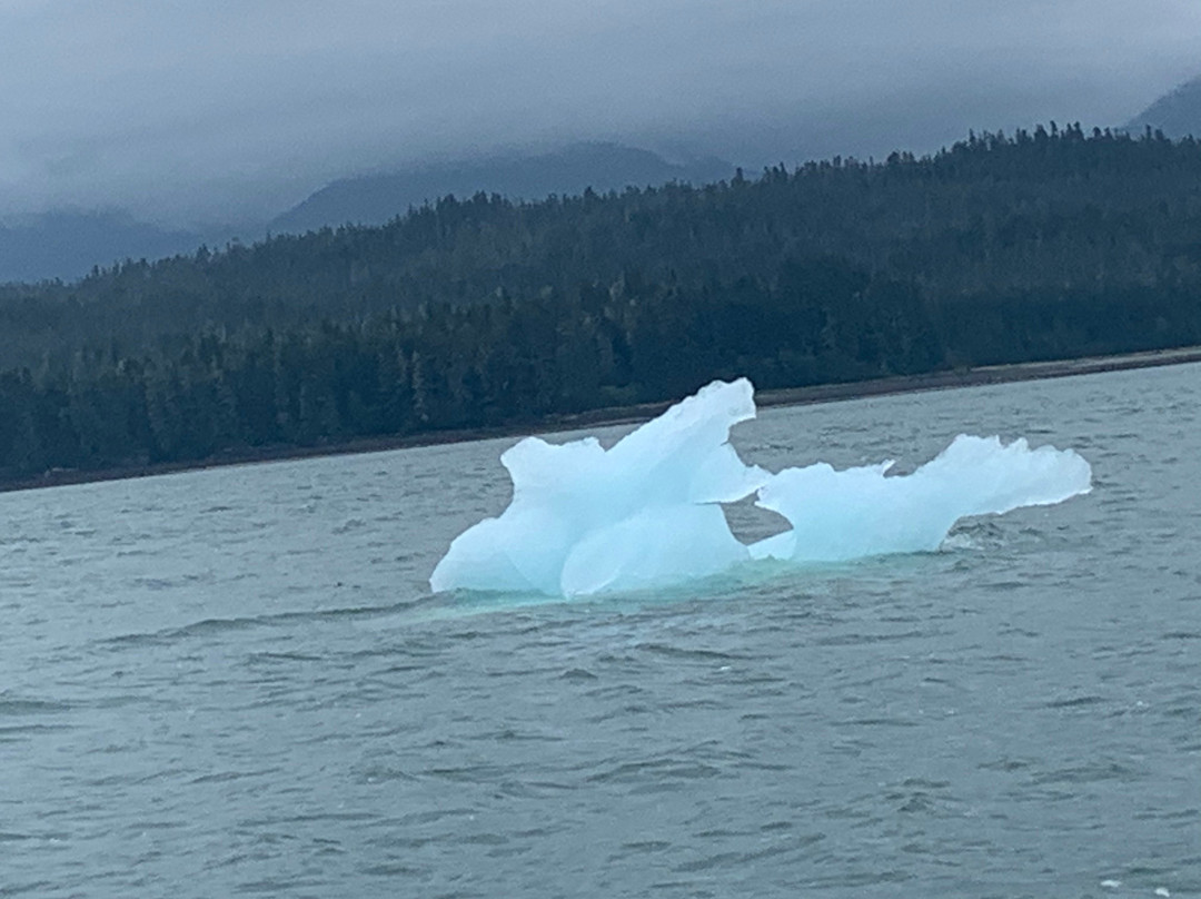 Green Rocks Wilderness Lodge主图