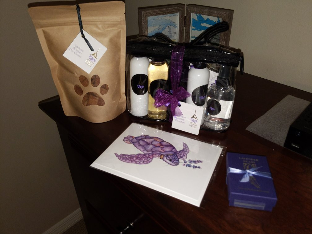 Pelindaba Lavender Amelia Island-阿米莉亚岛必去景点