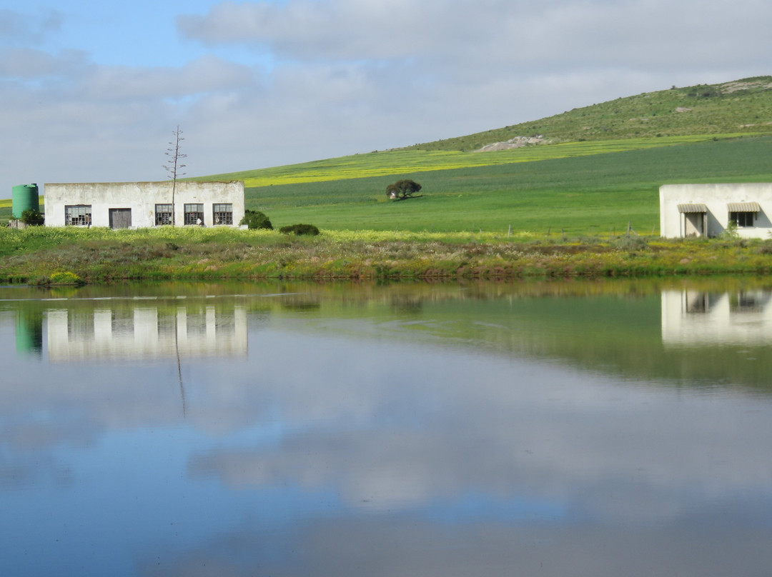 Tienie Versfeld Wildflower Reserve-Darling必去景点