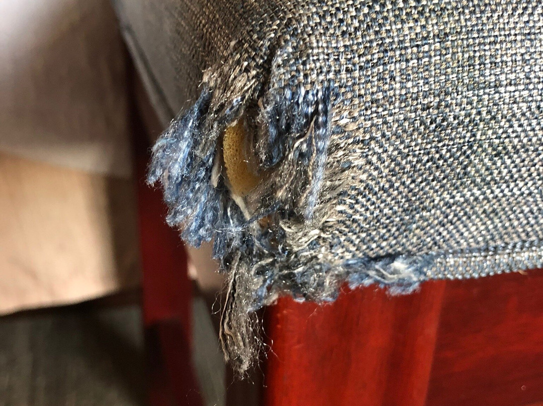 纳舒华希尔顿恒庭酒店主图