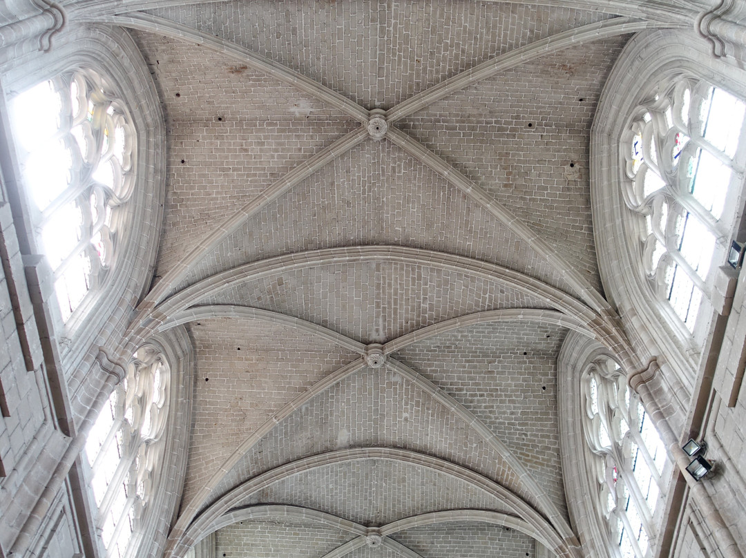 Cathédrale Saint-Louis-布洛瓦必去景点