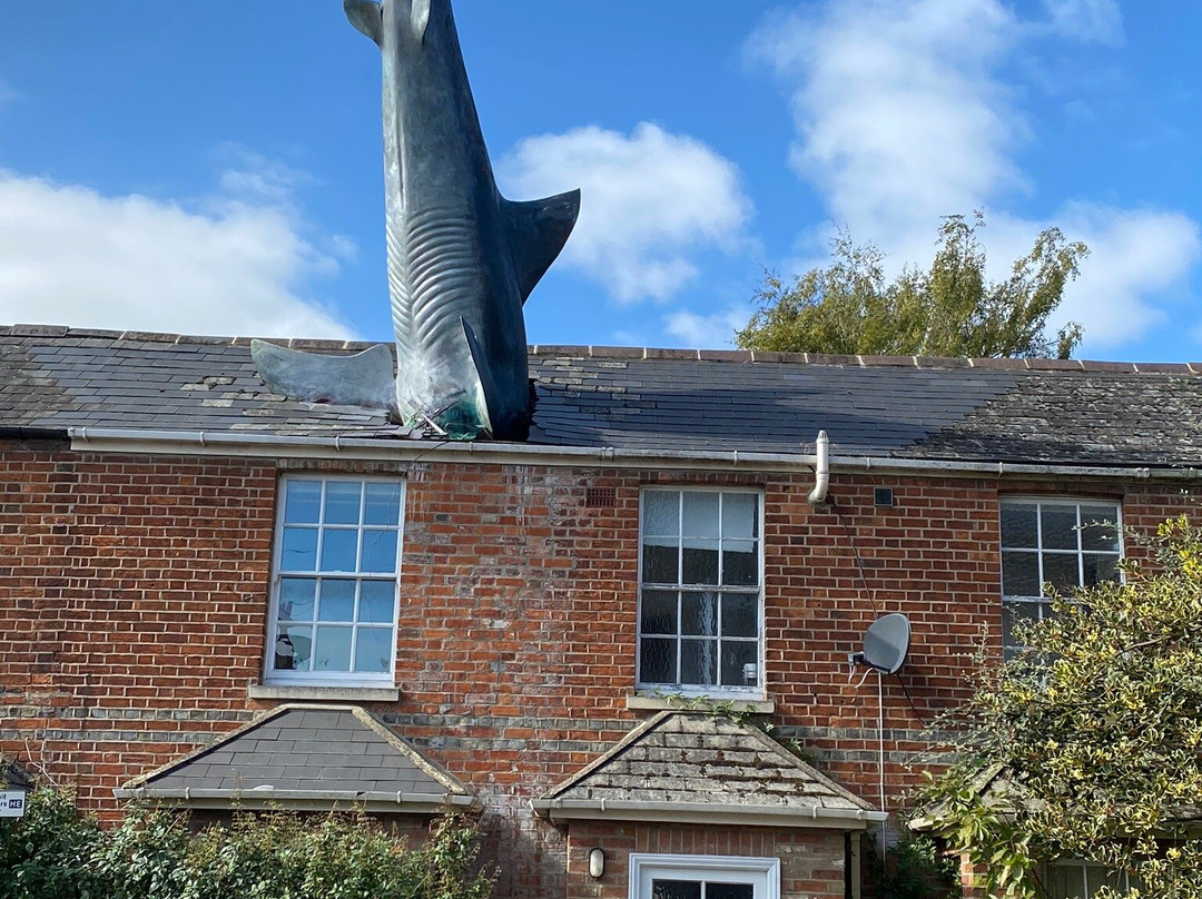 Headington Shark景点图片