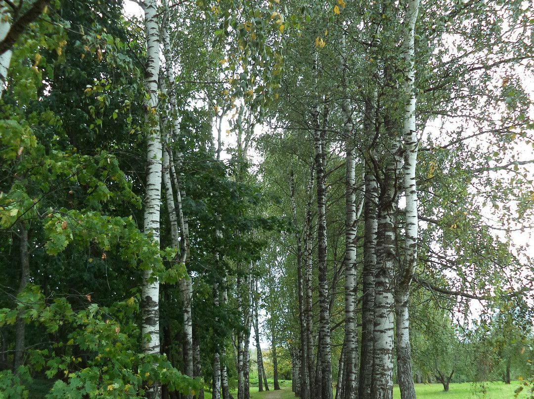 Nizhny Novgorod Branch of the Museum-Reserve Pushkin Boldin景点图片