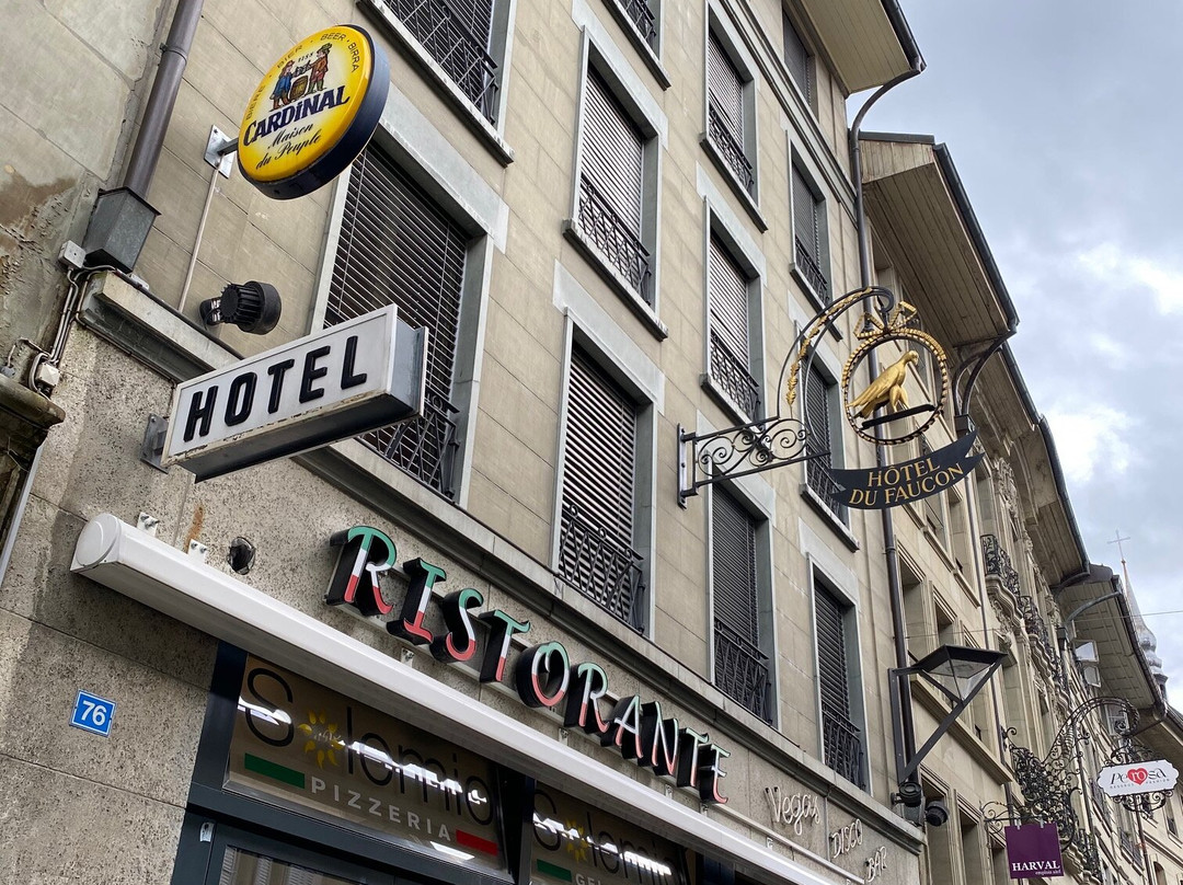 Hotel du Faucon主图