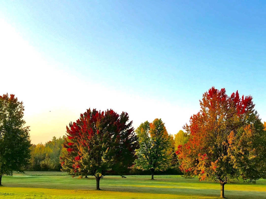 Club de Golf Saint-Anicet景点图片