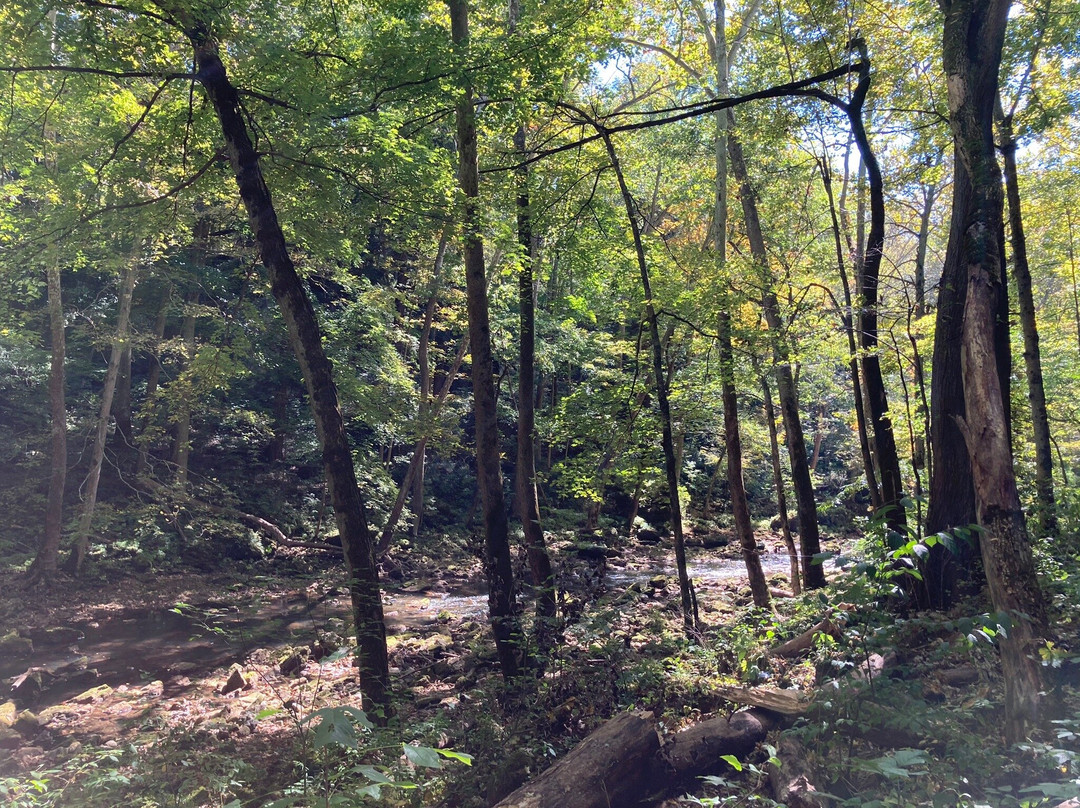 Clifton Gorge State Nature Preserve-Yellow Springs必去景点