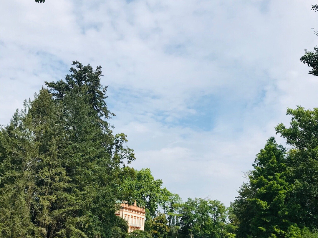 Park Schonbusch景点图片