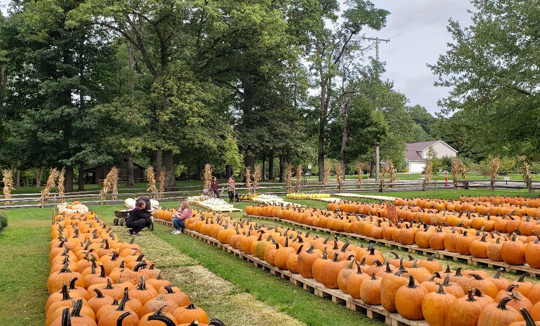 Patterson Fruit Farms-Chesterland必去景点