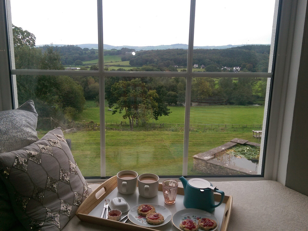 Coed Mawr Hall Bed & Breakfast主图