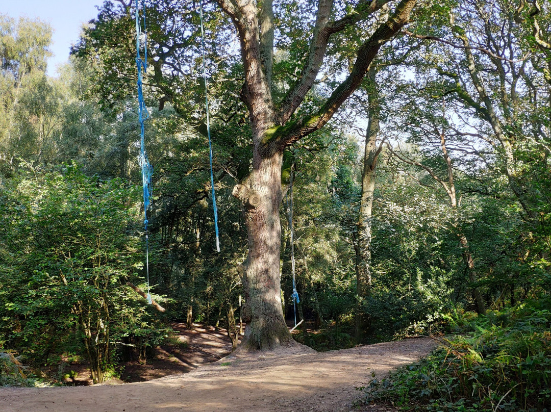 Shotover Country Park-Headington必去景点