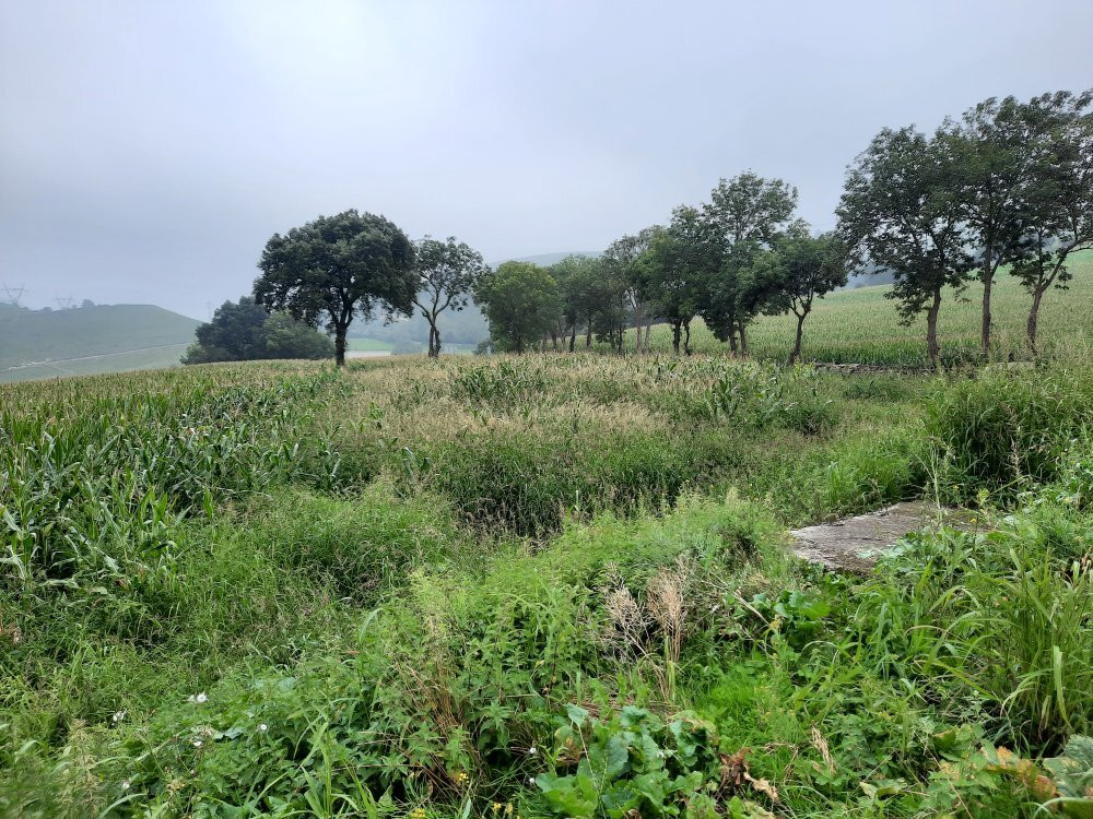 Granja Cudana景点图片