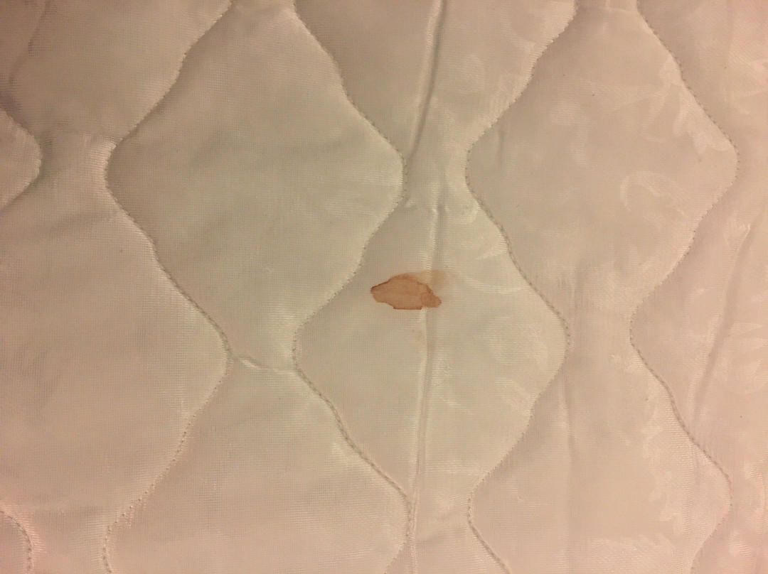 Best Western Plus Eagleridge Inn & Suites主图