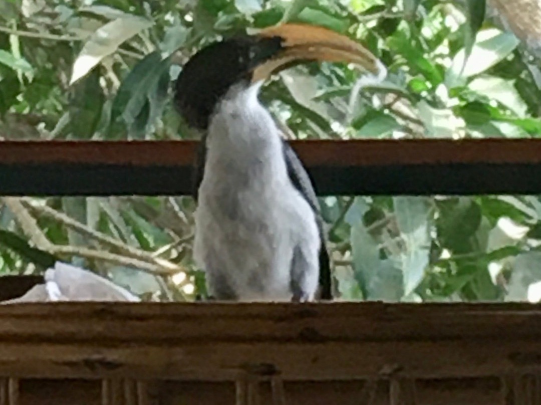 Swiss Lanka Bed & Breakfast主图