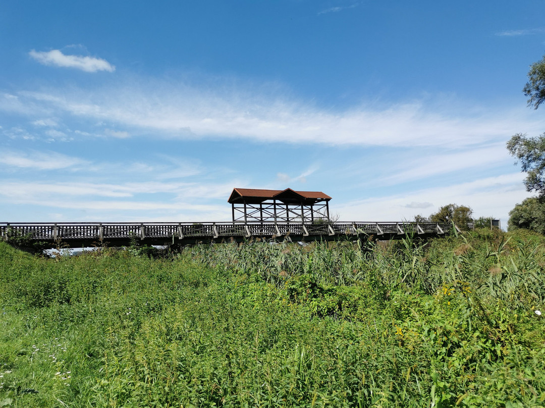 Brucke von Andau景点图片