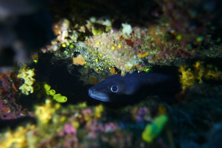 Diving Center Mihuric景点图片