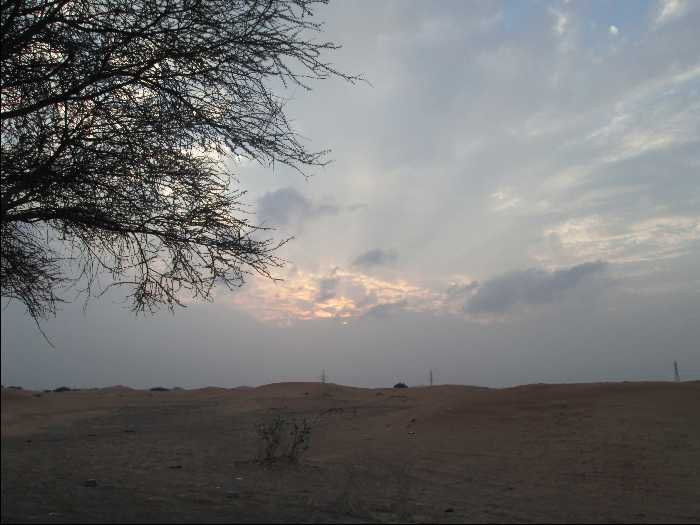 Empty Quarter-Dhofar Governorate必去景点