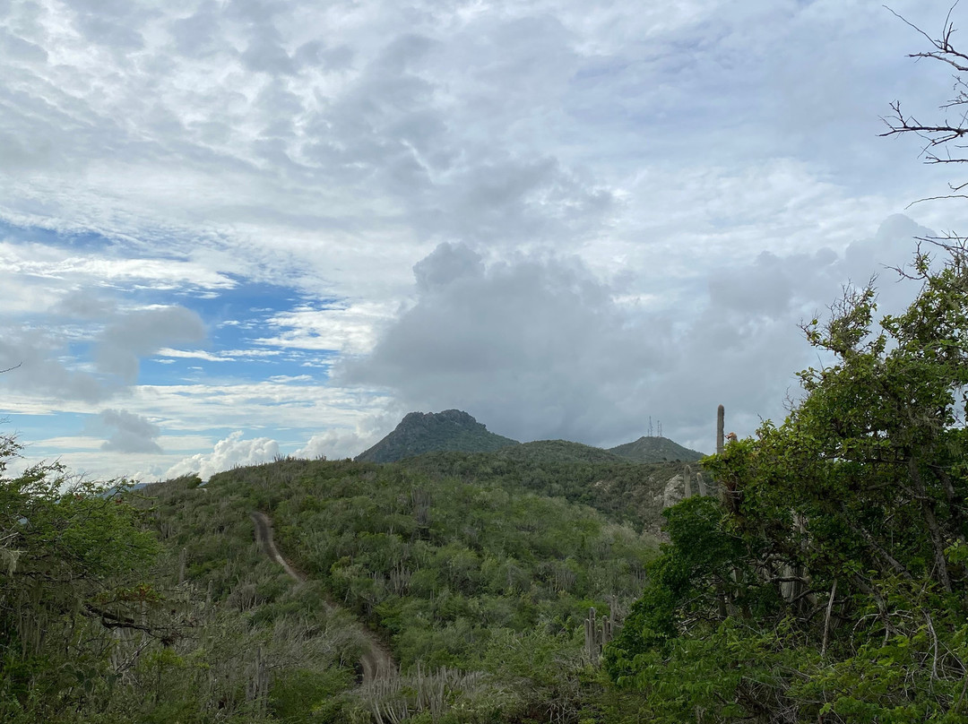 Christoffelpark-Sabana Westpunt必去景点