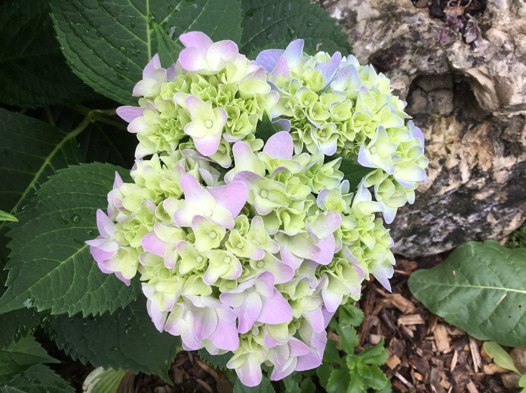 Wenzler's Landing Bed & Breakfast主图