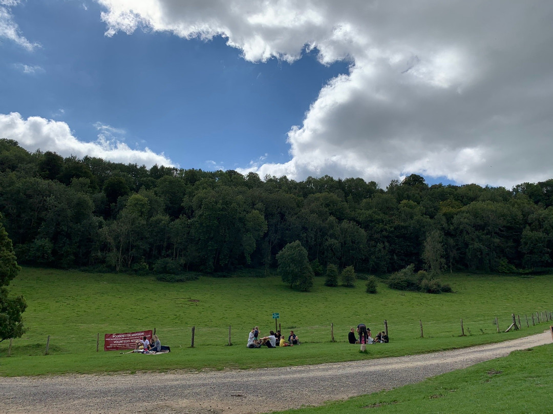 Woodchester Park景点图片