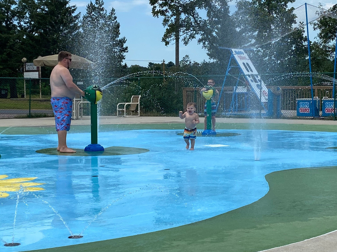 Sherwood Forest Camping & RV Park主图