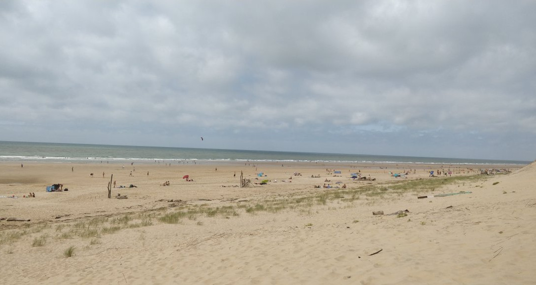 Plage de la Coubre景点图片
