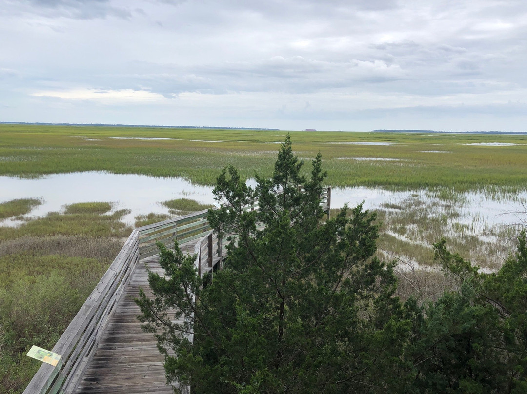 Earth Day Nature Trail