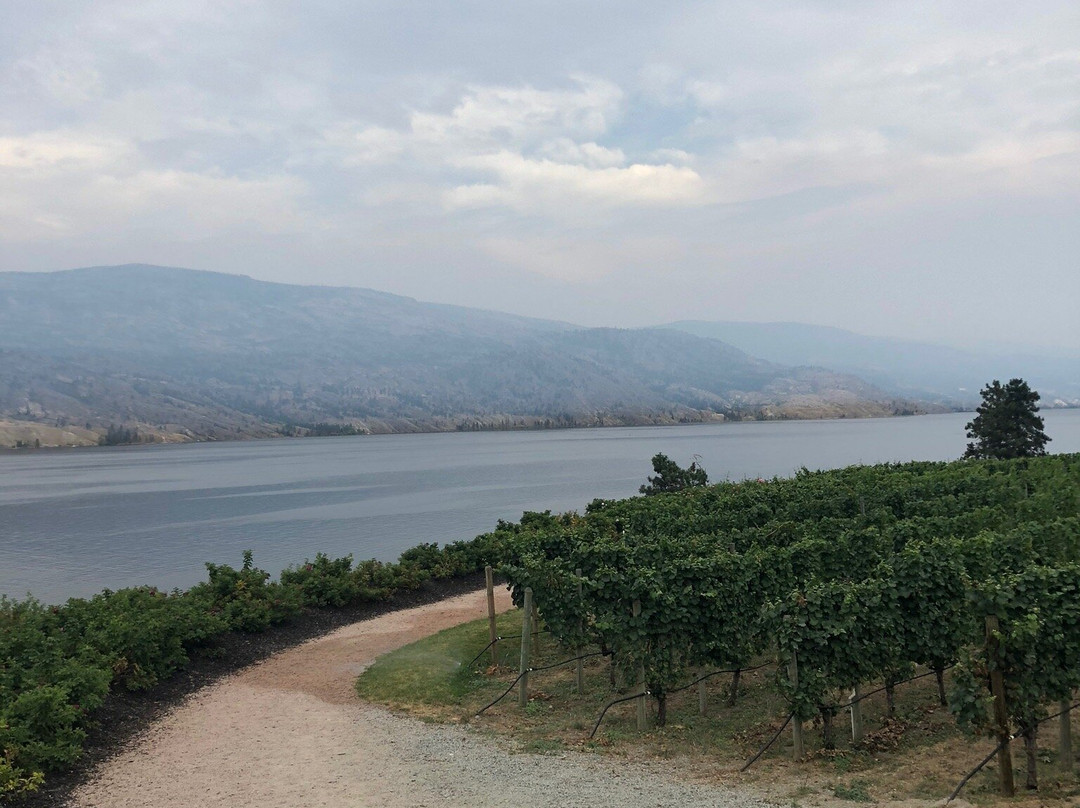Fitzpatrick Family Vineyards-Peachland必去景点