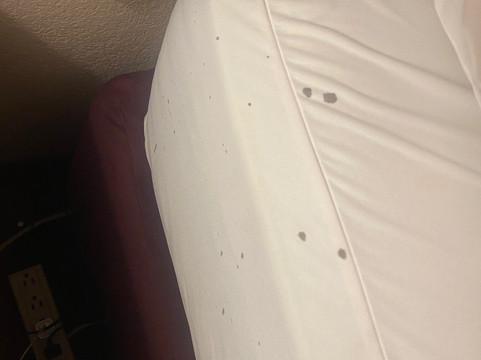 卡萨布兰卡酒店及