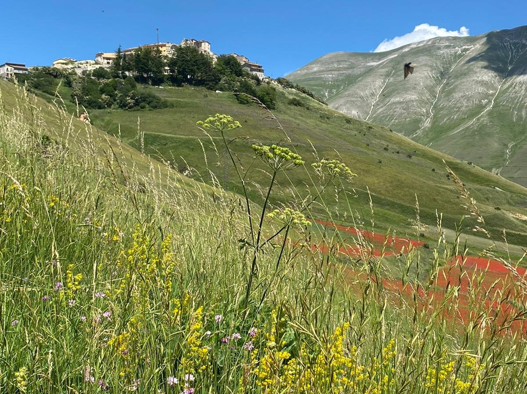 Borgo Medievale Castelluccio di Norcia景点图片