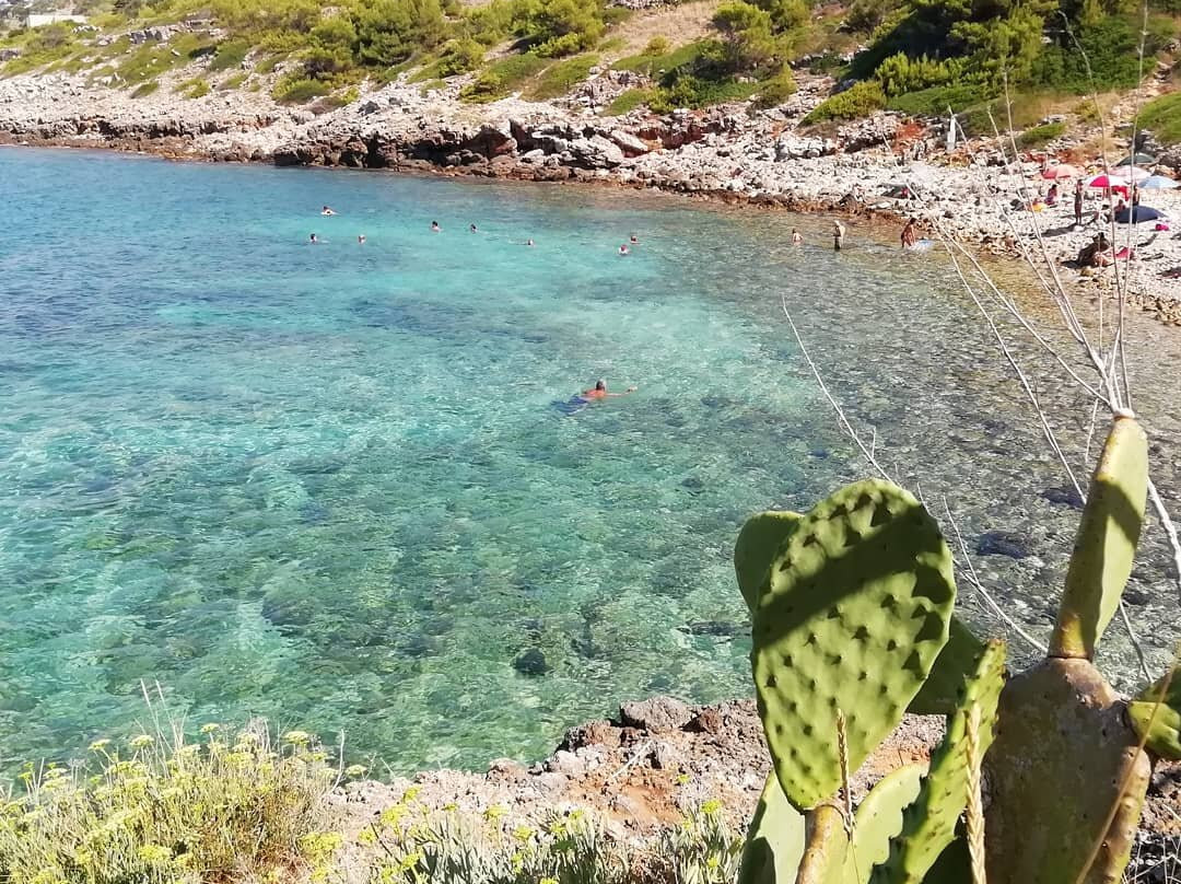 Corte Terrasignura主图