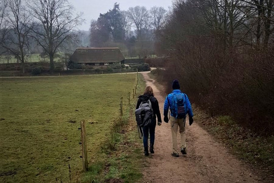 The Neutravel Company and EURO2 Bikes-鹿特丹必去景点