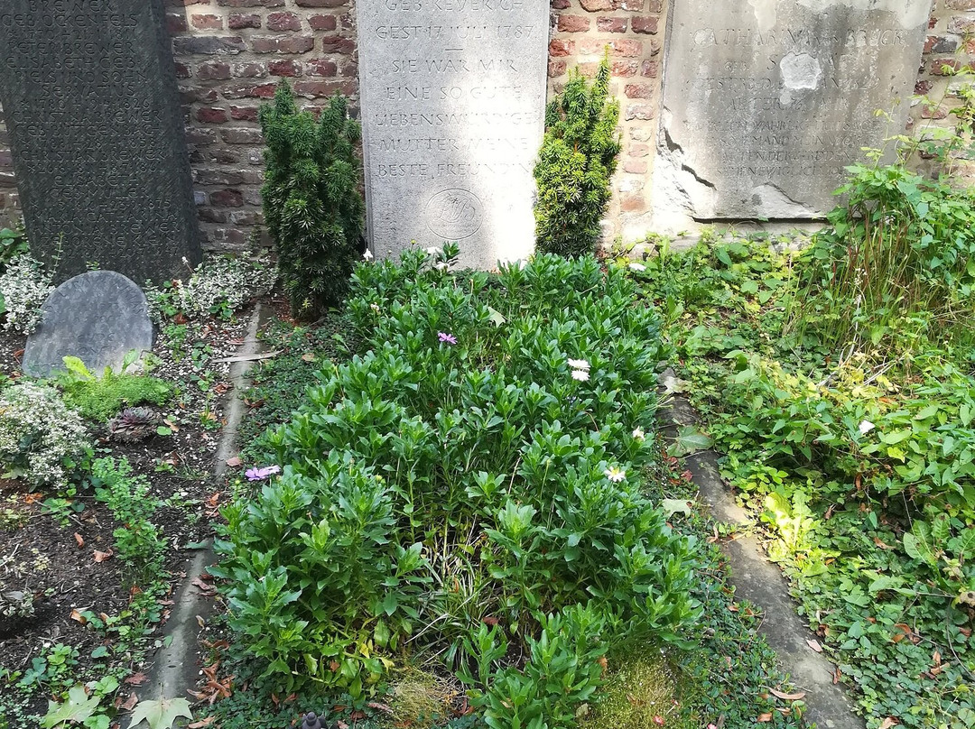 Alter Friedhof-波恩必去景点
