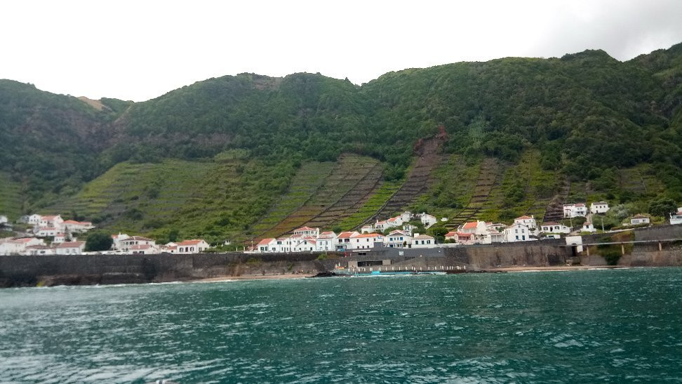 Mantamaria Dive Center Azores景点图片
