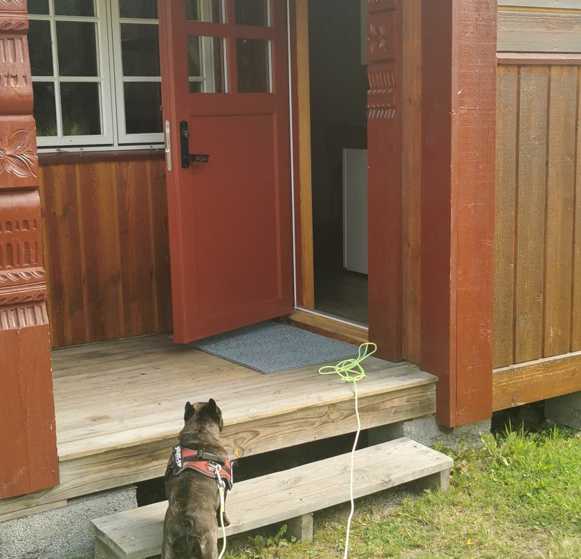 Asgrav Family Camping主图