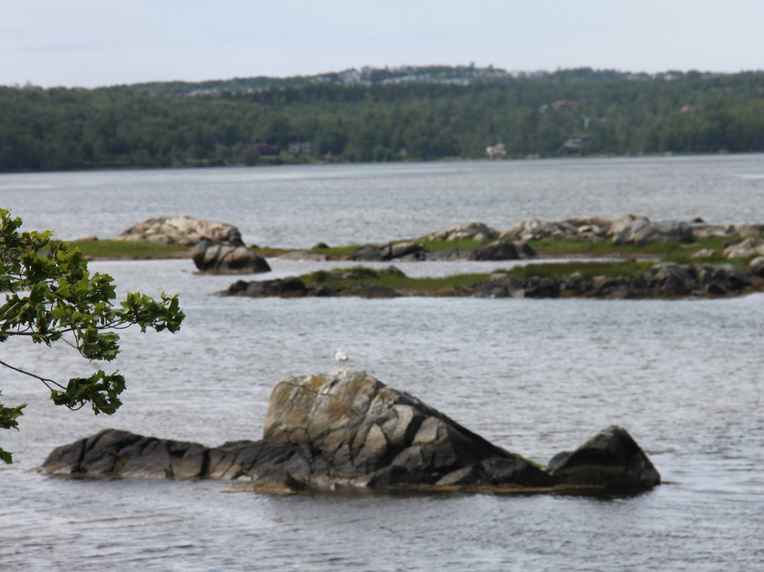 Salt Marsh Trail-Cole Harbour必去景点